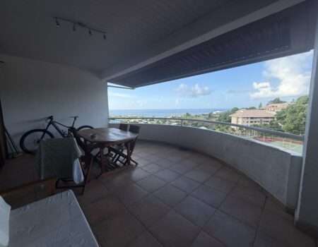 agence-immobilière-tahiti-appartement2