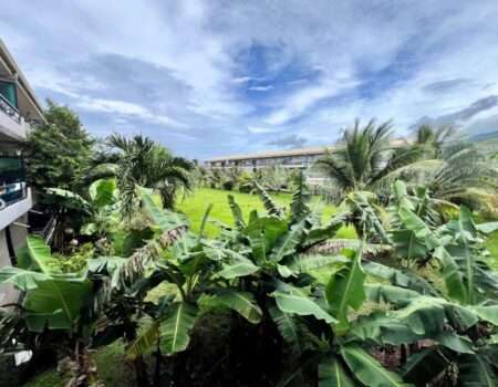 Cedric - location - appartement -Atike immobilier - jardin - Arue