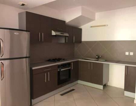 a louer f3 tahiti (1)