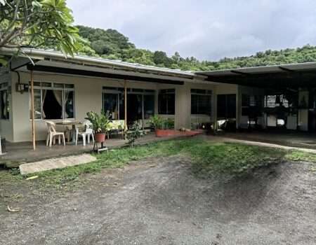 a vendre-papeete-agence-immobilière-