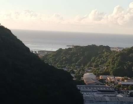 ATIKE Appartement OTEA Papeete Pisicne (5)