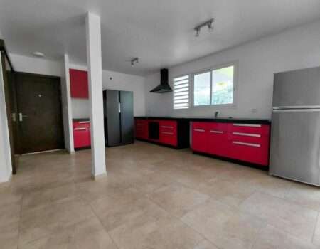 location-maison F4-agence atike immobilier-punaauia-cuisine