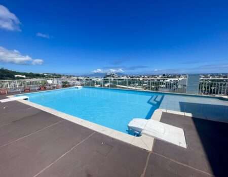 vente-appartement-piscine-tahiti-papeete12 - Grande