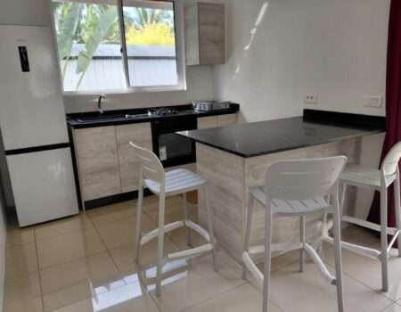 Vente-agence atike immobilier-cedric-maison F3-Papara-Cuisine