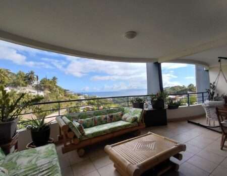 location-appartement F4-tahiti-Faa'a-atike immobilier-cedric-Terrasse