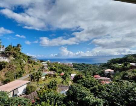 location-appartement F4-tahiti-Faa'a-atike immobilier-cedric-Vue